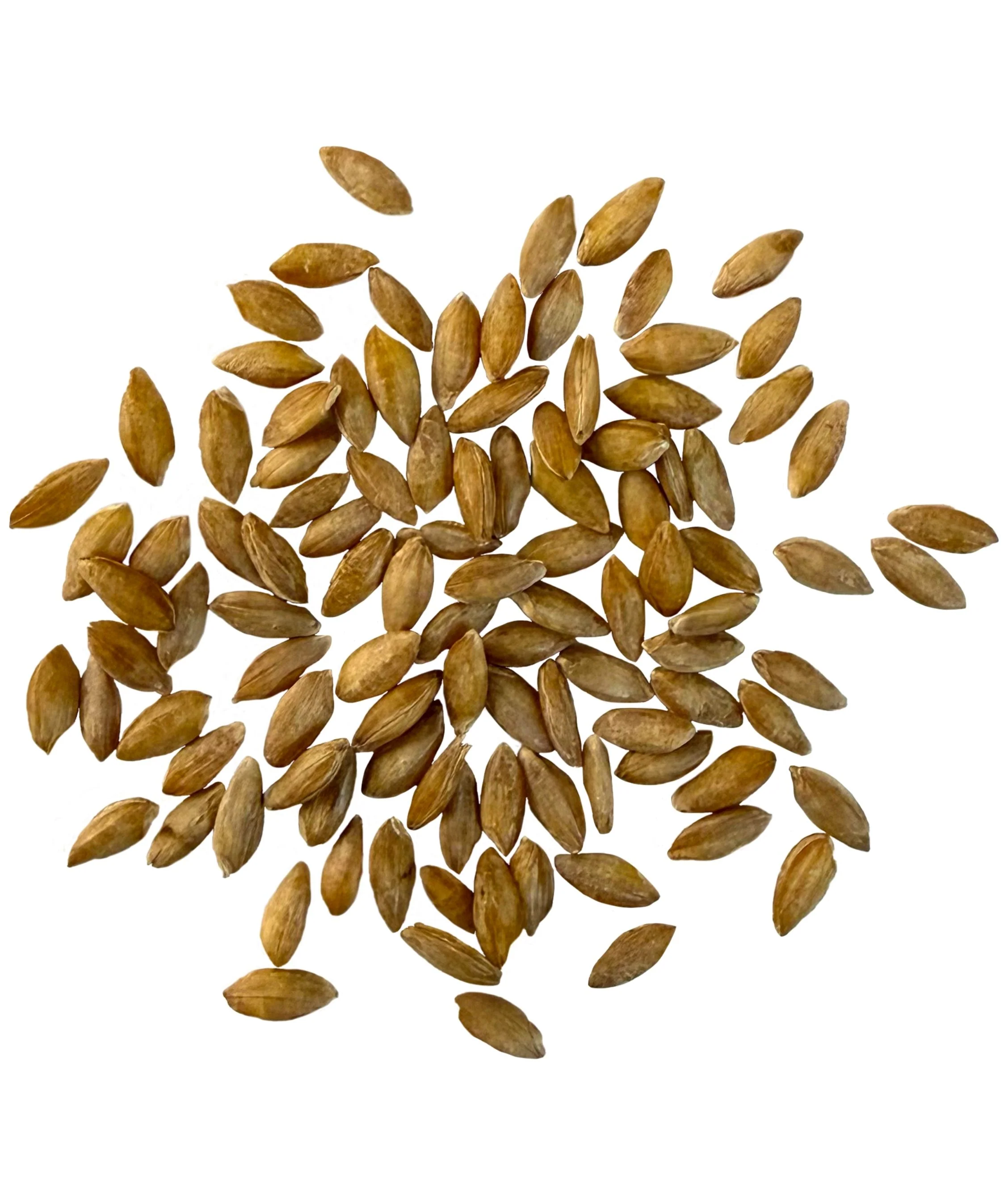 Einkorn Wheat Berries - 1 lb - Image 2