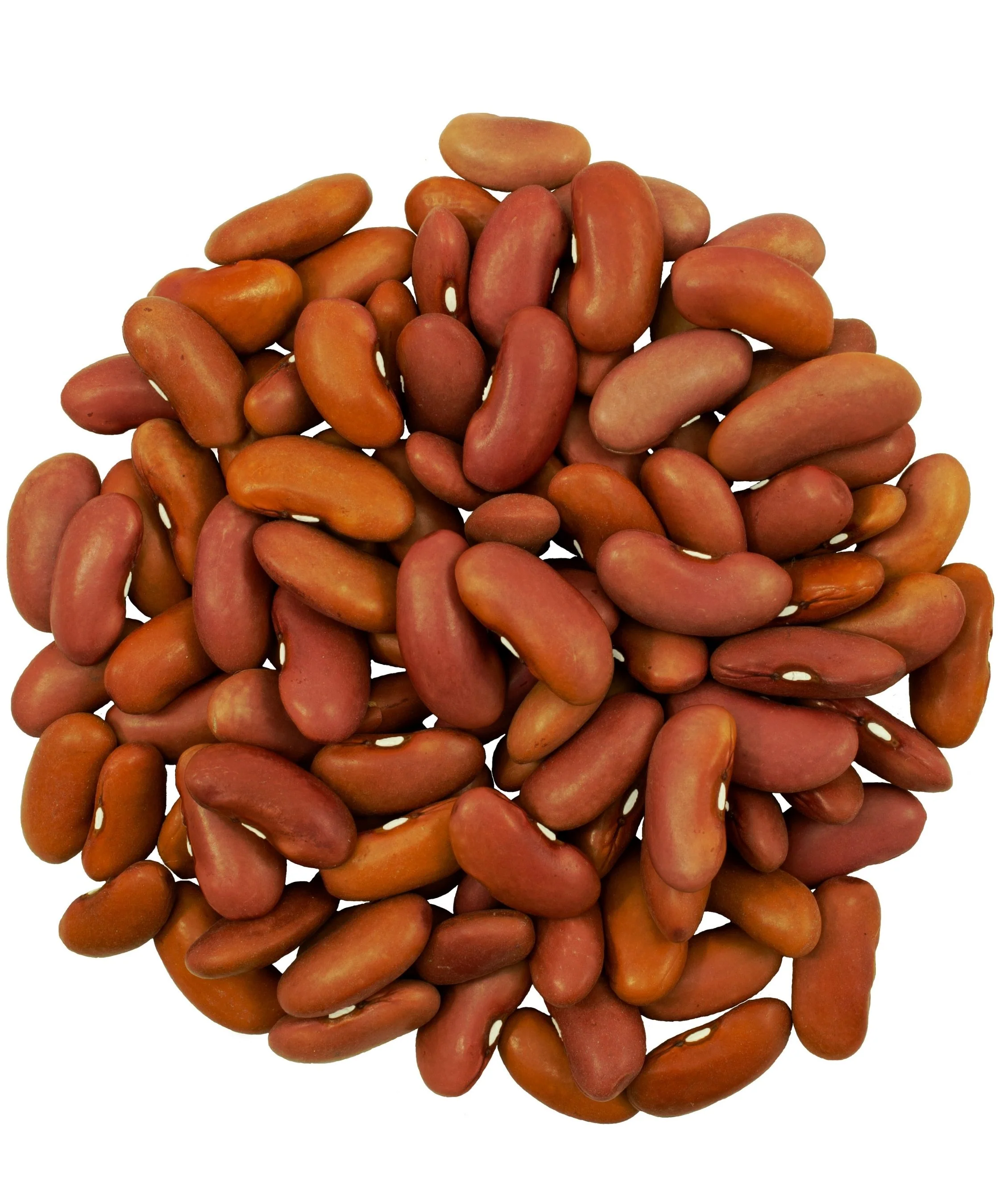 Kidney Beans - Value Pack - 8 lb - Image 2