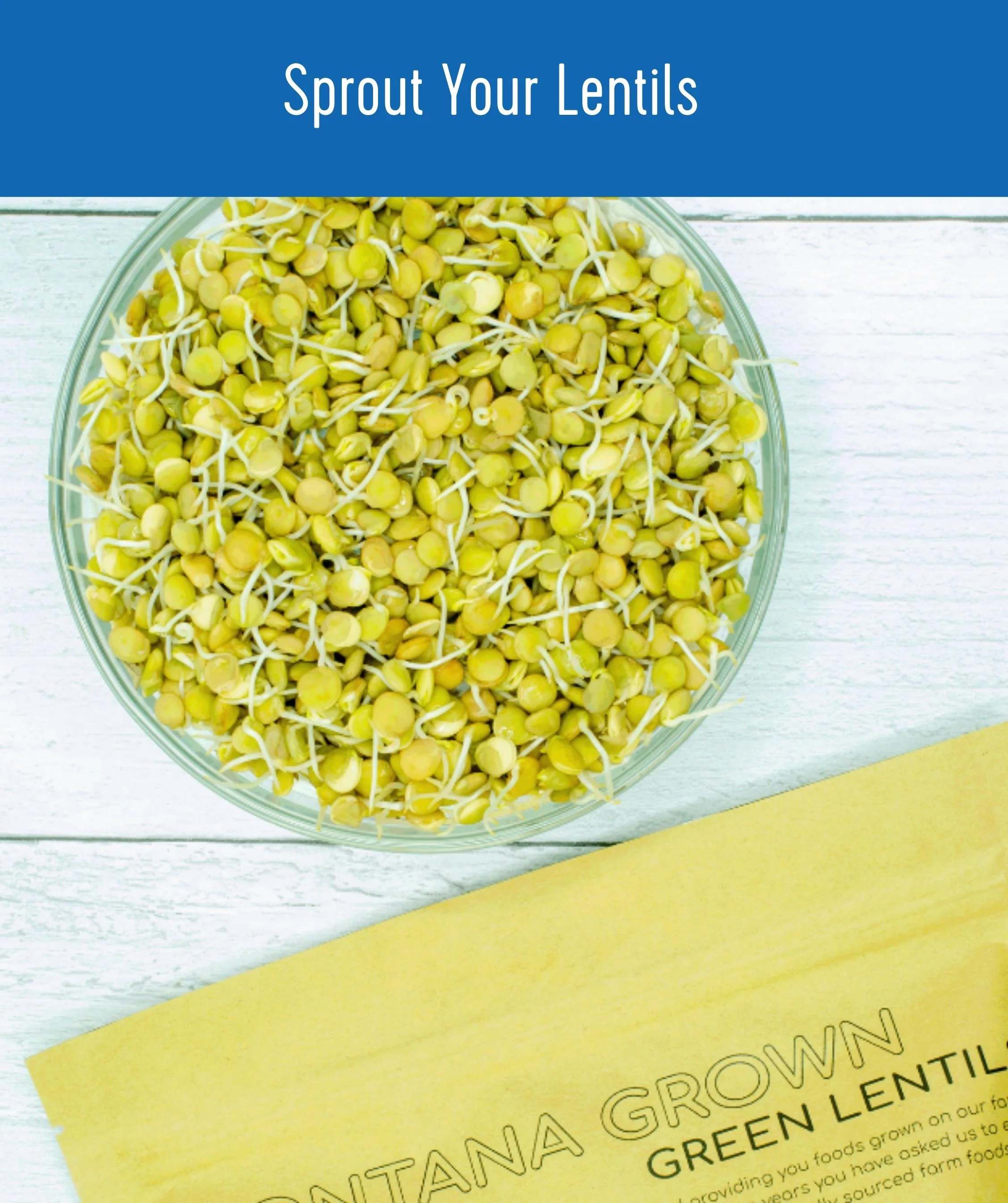 Green Lentils - 25 lb Bucket - Image 6