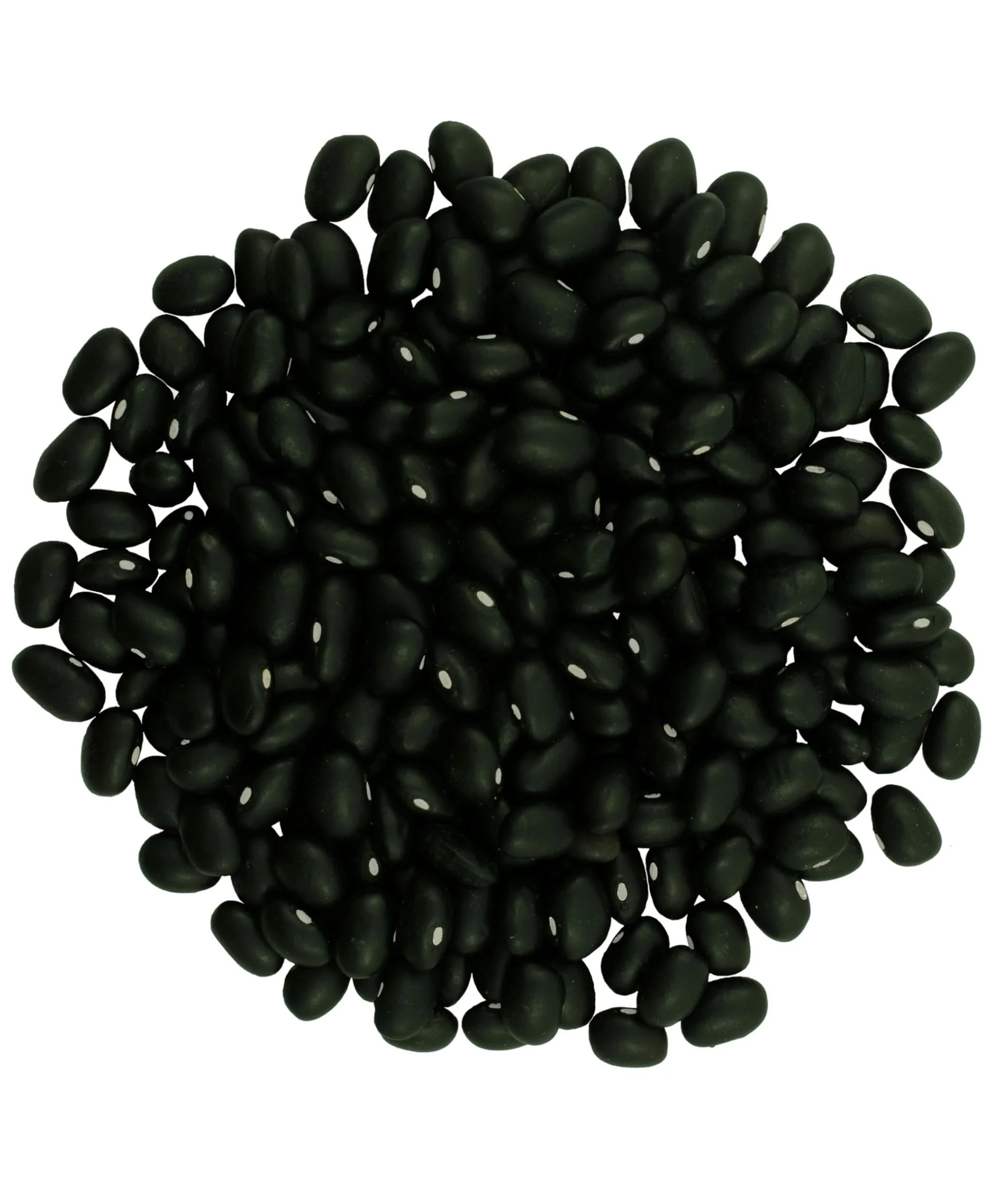 Black Beans - Value Pack - 8 lb - Image 2